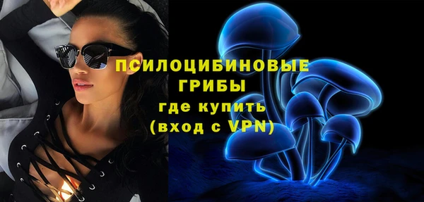 mdpv Дмитров