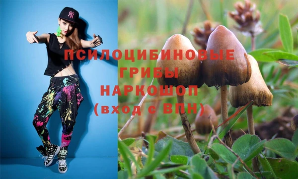 амф Дмитровск