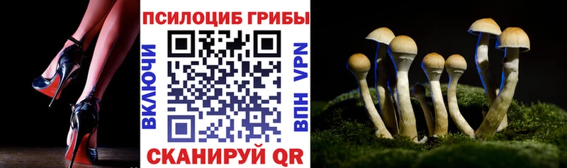 Галлюциногенные грибы мухоморы  Купить  Рыльск 